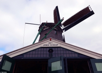Antje 113